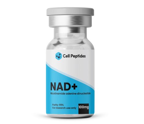 NAD+_ Mockup
