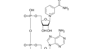 NAD-plus-overview-featured-image