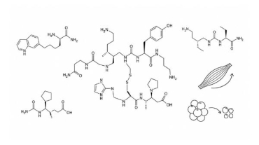 Peptides for Muscle Growth and Fat Loss