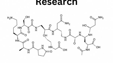 Best Peptides for Muscle Growth & Bodybuilding Research.