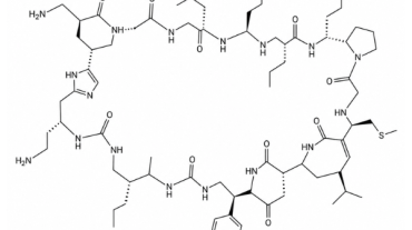 Sind Peptide sicher für den Muskelaufbau?