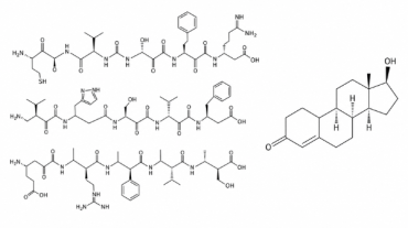 Peptide im Vergleich zu Testosteron: Mechanismen, Forschung & Hauptunterschiede.
