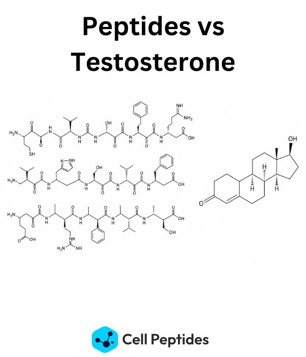 Peptiden versus Testosteron: Mechanismen, Onderzoek & Belangrijkste Verschillen.